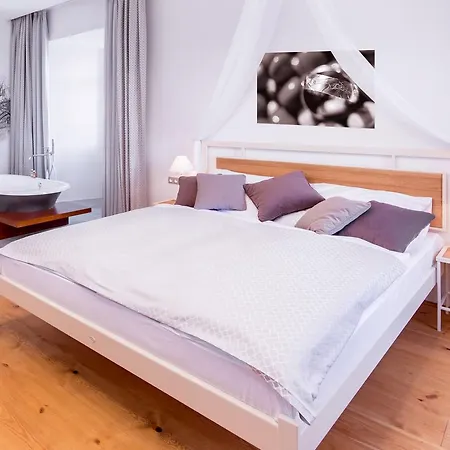Hotel Zámek Svijany